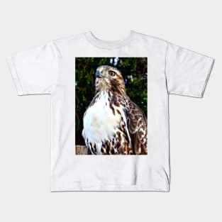 Adult Red Tailed Hawk Kids T-Shirt